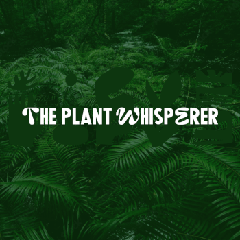 The Plant Whisperer, terrarium and kokedama teacher